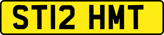 ST12HMT