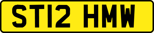 ST12HMW