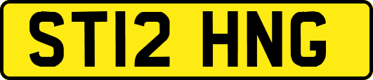 ST12HNG