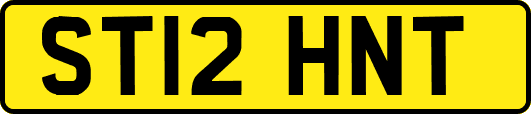 ST12HNT