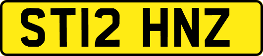 ST12HNZ