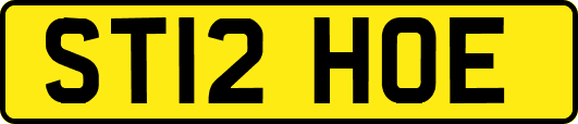 ST12HOE