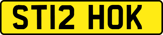 ST12HOK