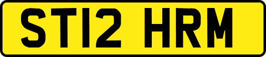 ST12HRM