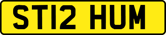 ST12HUM