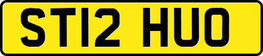 ST12HUO