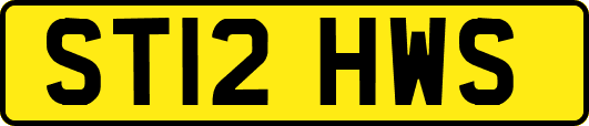 ST12HWS