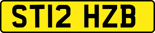 ST12HZB