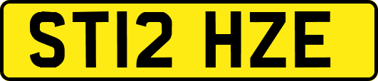 ST12HZE