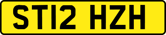 ST12HZH
