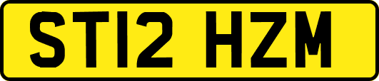 ST12HZM