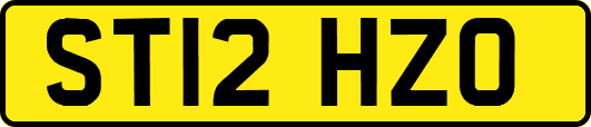 ST12HZO