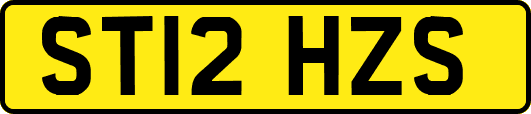ST12HZS