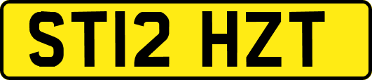 ST12HZT
