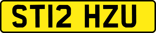 ST12HZU