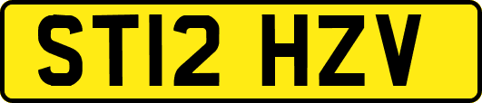 ST12HZV