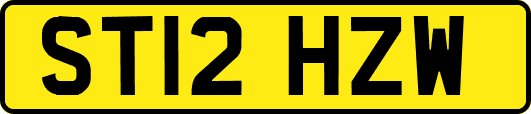 ST12HZW