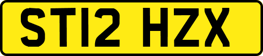 ST12HZX