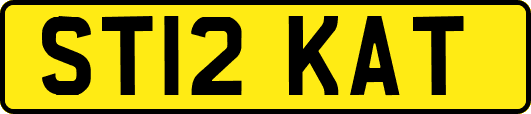 ST12KAT