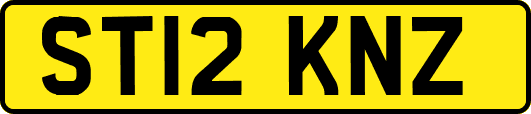 ST12KNZ