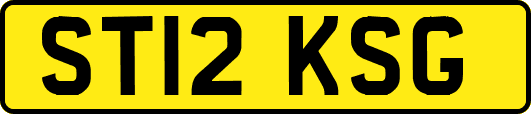 ST12KSG