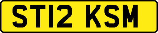 ST12KSM