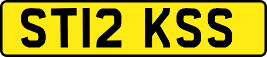 ST12KSS
