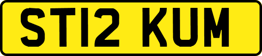 ST12KUM