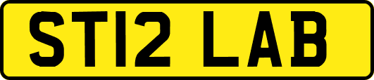 ST12LAB