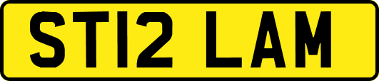 ST12LAM