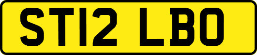 ST12LBO