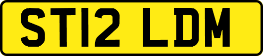 ST12LDM