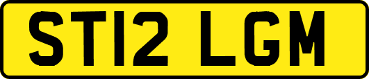 ST12LGM