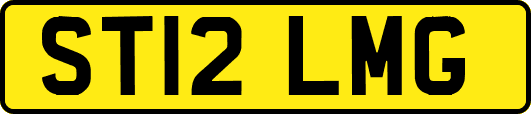 ST12LMG