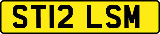 ST12LSM