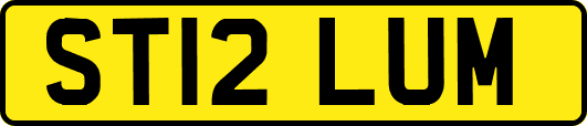 ST12LUM