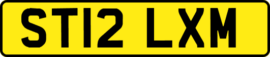 ST12LXM