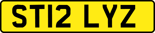 ST12LYZ