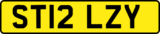 ST12LZY