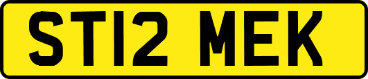 ST12MEK