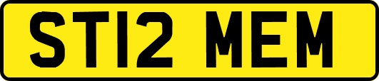 ST12MEM