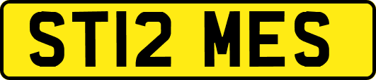 ST12MES