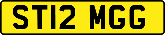 ST12MGG