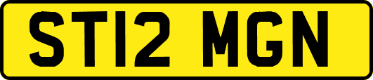 ST12MGN