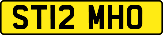 ST12MHO
