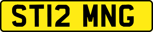 ST12MNG