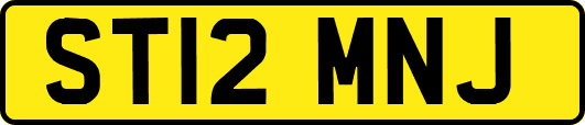 ST12MNJ