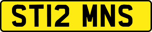 ST12MNS