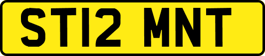 ST12MNT
