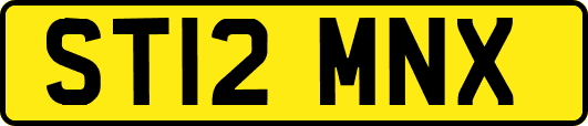 ST12MNX
